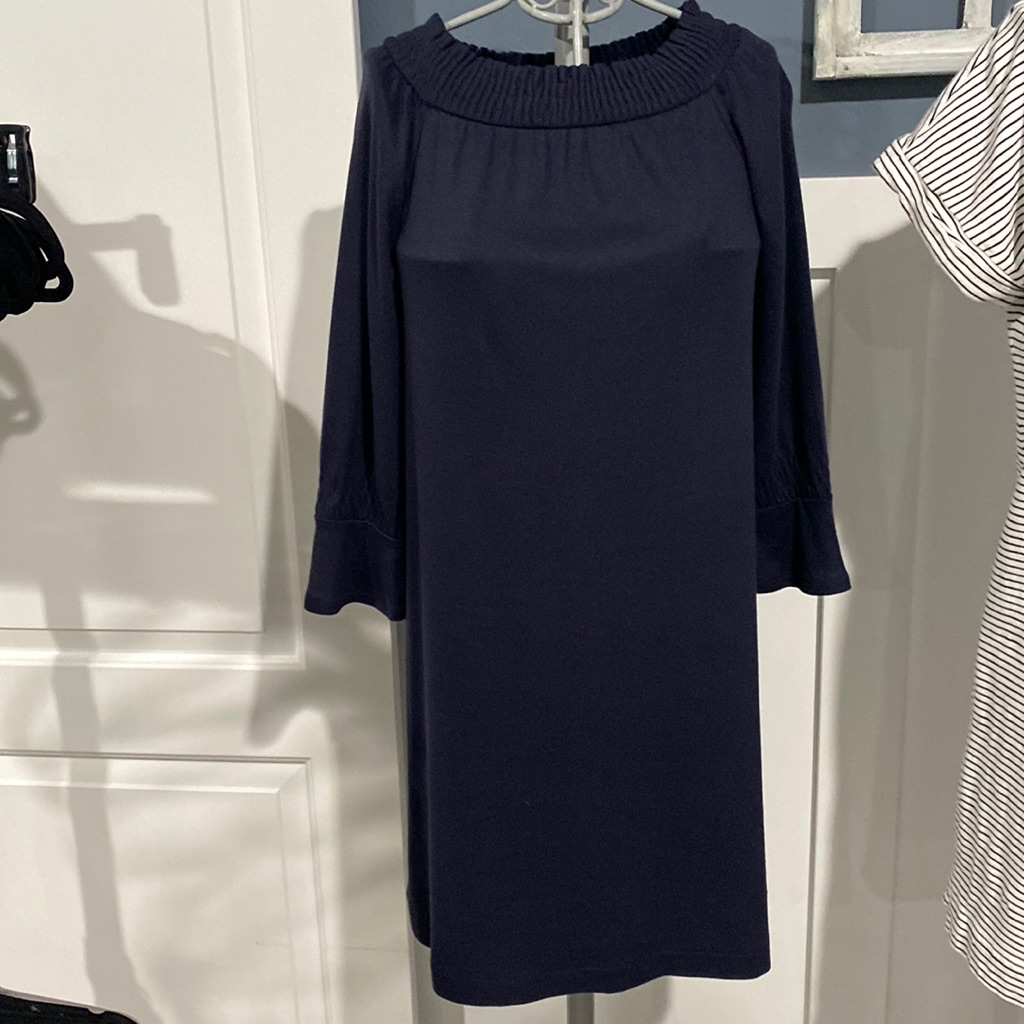 Ann Taylor Navy Blue Dress